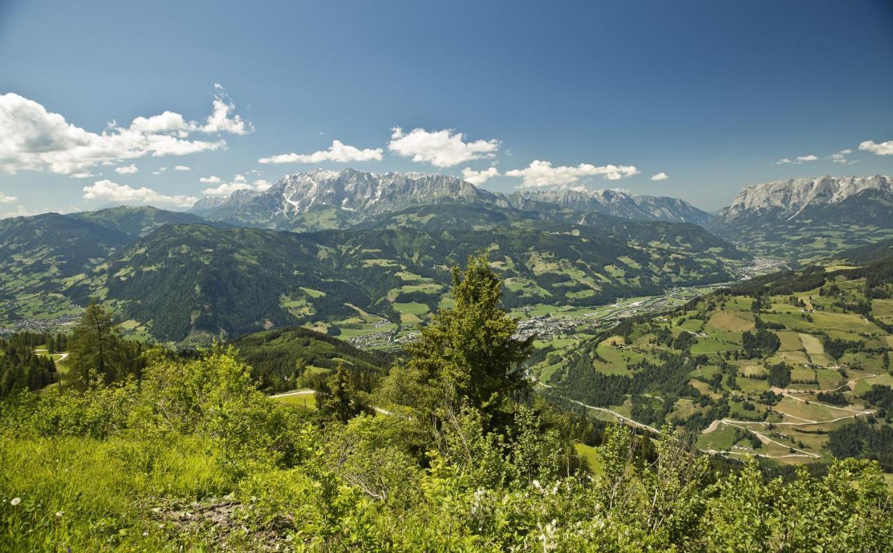 Appartamento Taurachhof Astlehen Alpendorf  Esterno foto