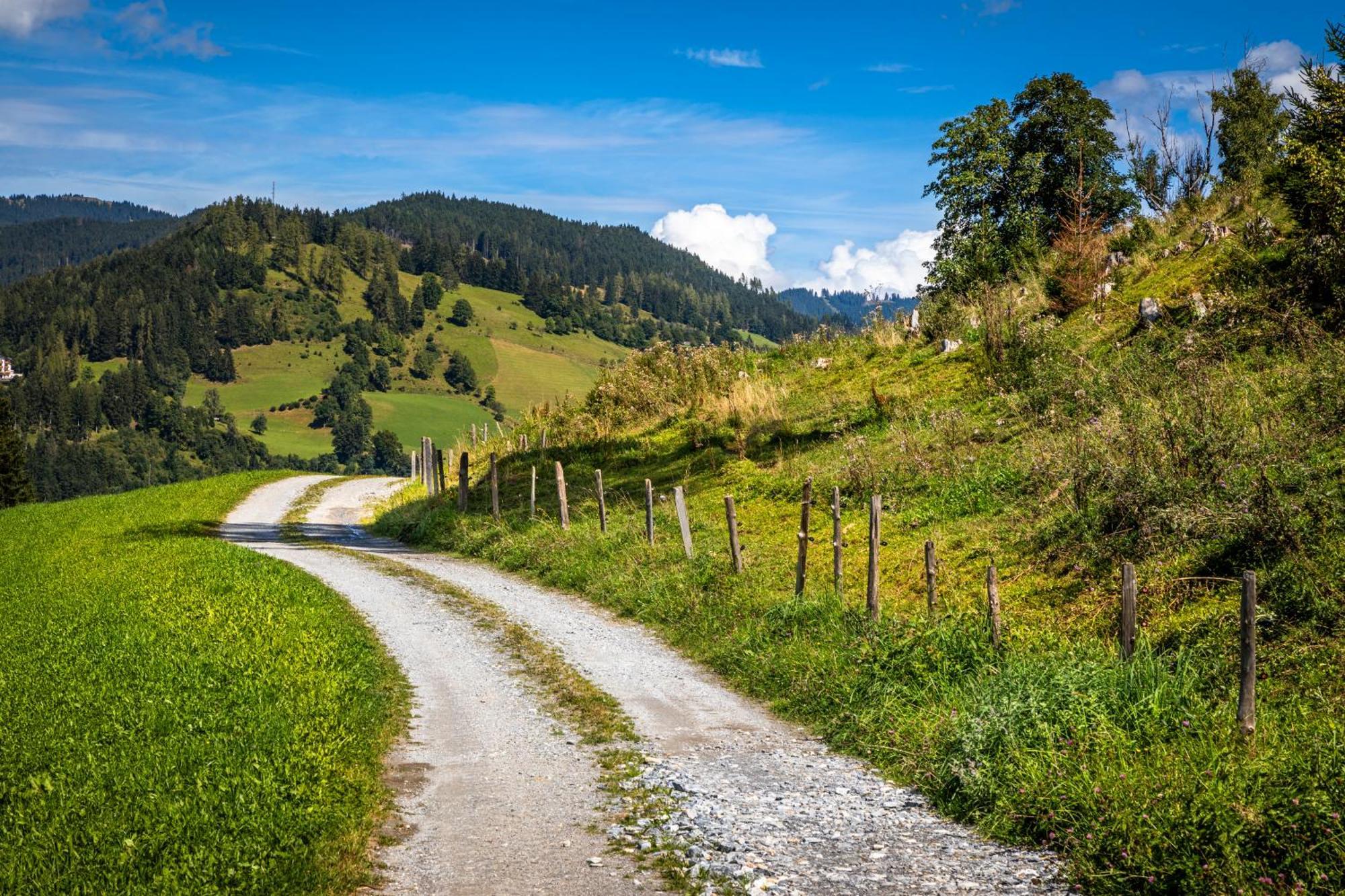 Appartamento Taurachhof Astlehen Alpendorf  Esterno foto